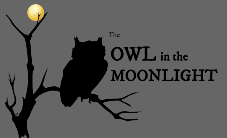 “The Owl in the Moonlight” – Short Story
